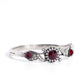 Expert Elegance - Red