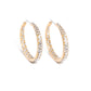GLITZY By Association - Gold Earring
