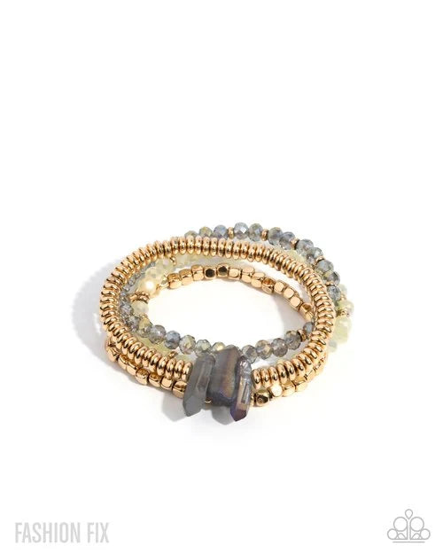 Paparazzi Bracelet ~ Principal Panoply